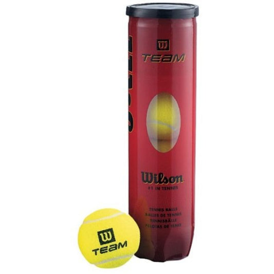 Wilson Team Practice Tennis Balls 4 pcs WRT111900 Accessories/Balls/Tennis Your Sports Performance