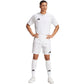 Adidas Tiro 24 Competition Match M shorts IQ4756 Clothing/Football Adidas