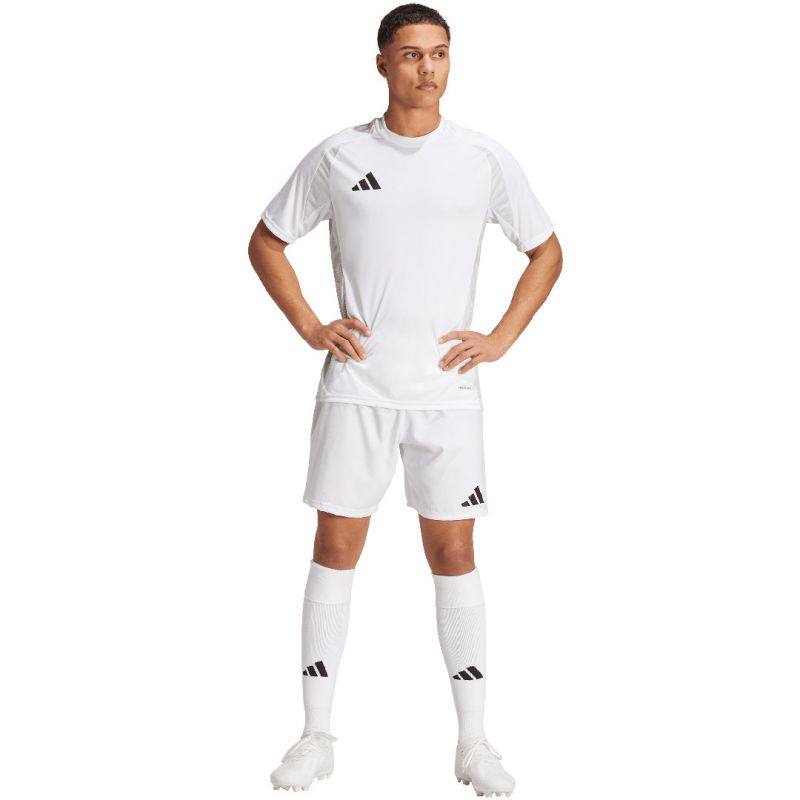 Adidas Tiro 24 Competition Match M shorts IQ4756 Clothing/Football Adidas