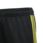 Adidas Tiro 23 Club Training Jr IC1587 pants Clothing/Football Adidas