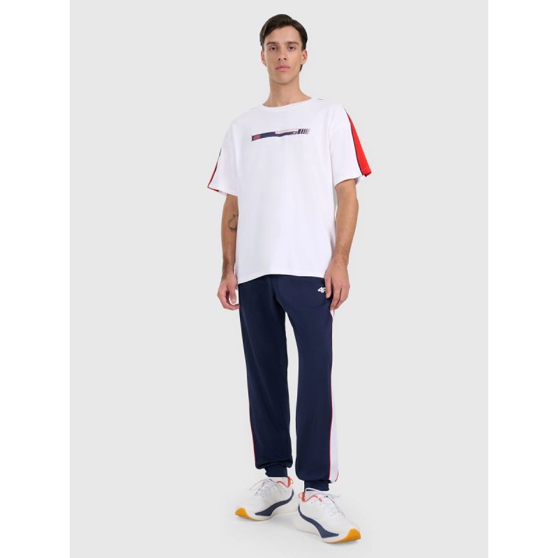 Men's jogger sweatpants 4F 4FRAW25TTROM1611-31S 4f