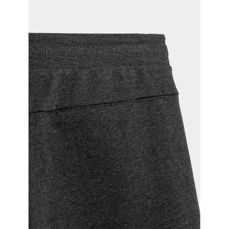 Shorts 4F M 4FSS23TSHOM156 23M Clothing/Lifestyle/Trousers, shorts/4F 4F