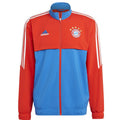 Sweatshirt adidas FC Bayern Pre Jacket M HU1274 Clothing/Football Adidas