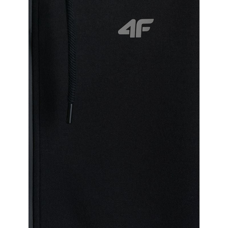Men's regular hooded sweatshirt 4F 4FKAW26TSWSM3182-20S