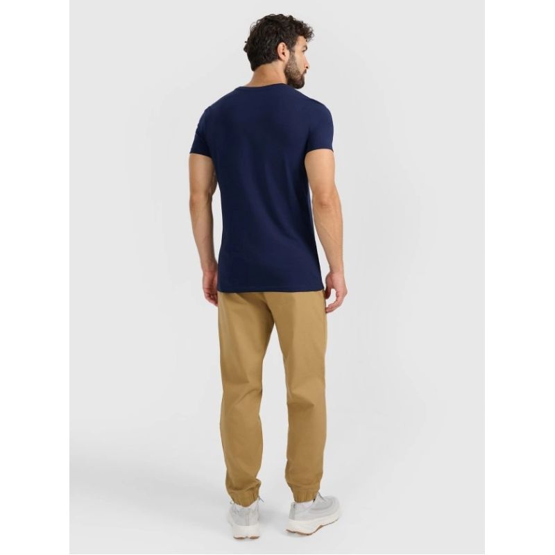 Men's jogger sweatpants 4F 4FRMM00TTROM1627-83S 4f