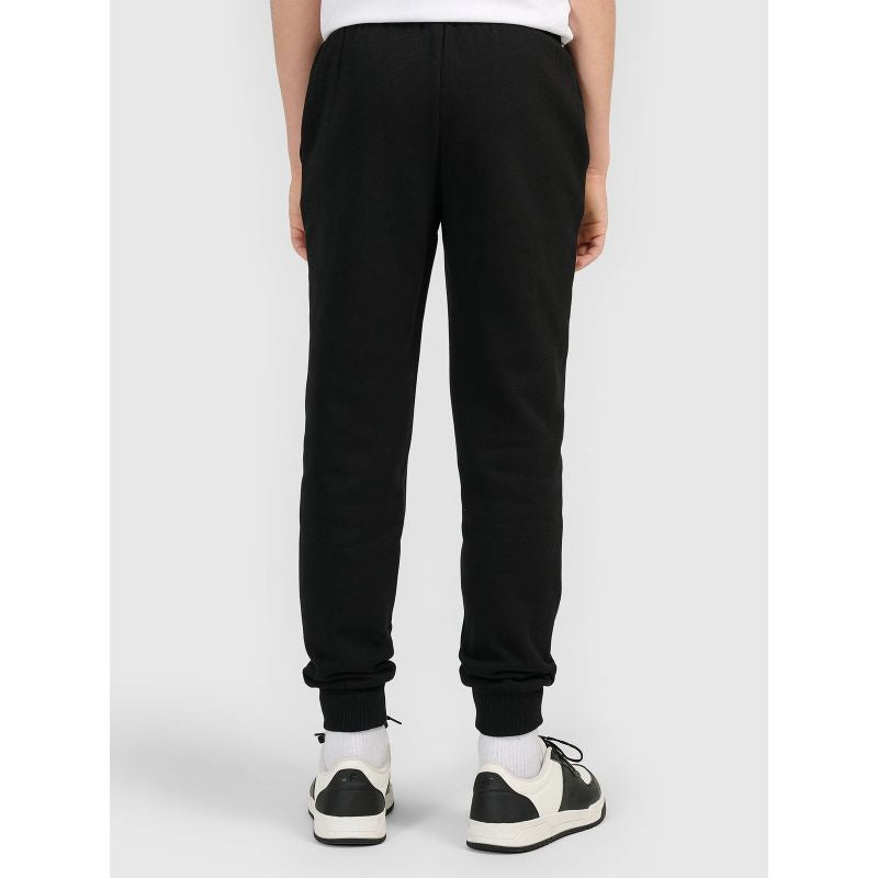 Boys' jogger sweatpants 4F 4FJWMM00TTROM1840-20S