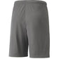 Puma teamLIGA Shorts Jr 704931 13 Clothing/Football Your Sports Performance