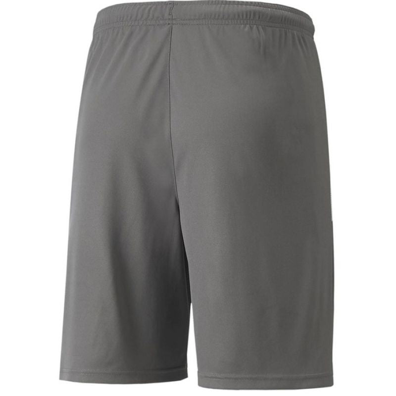 Puma teamLIGA Shorts Jr 704931 13 Clothing/Football Your Sports Performance