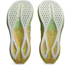 Asics Noosa Tri 16 M shoes 1011B872750 Footwear/Running/Men Asics