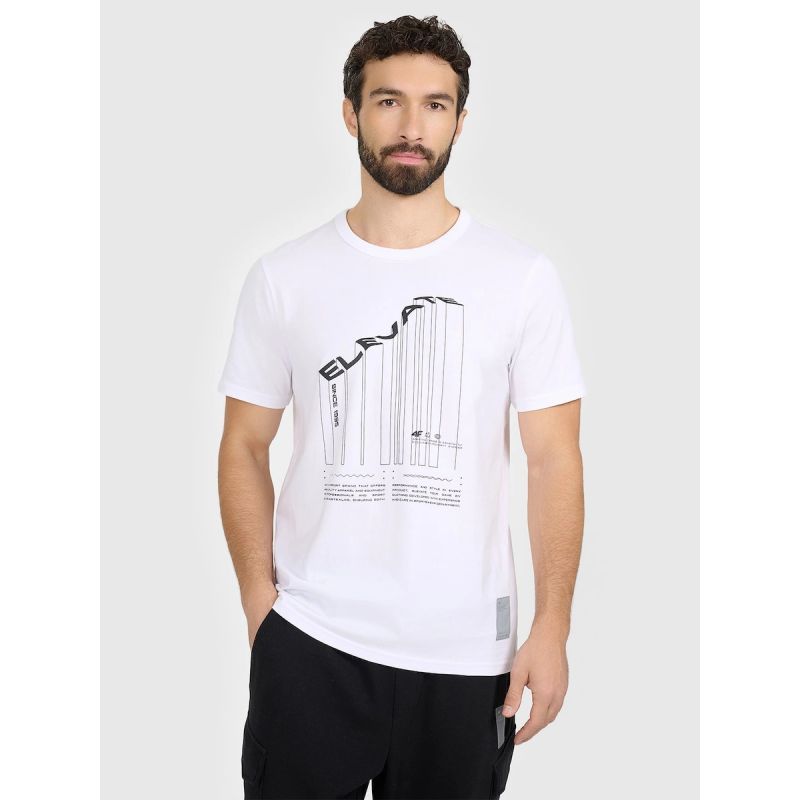 Men's regular printed T-shirt 4F 4FRAW25TTSHM3845-10S 4f