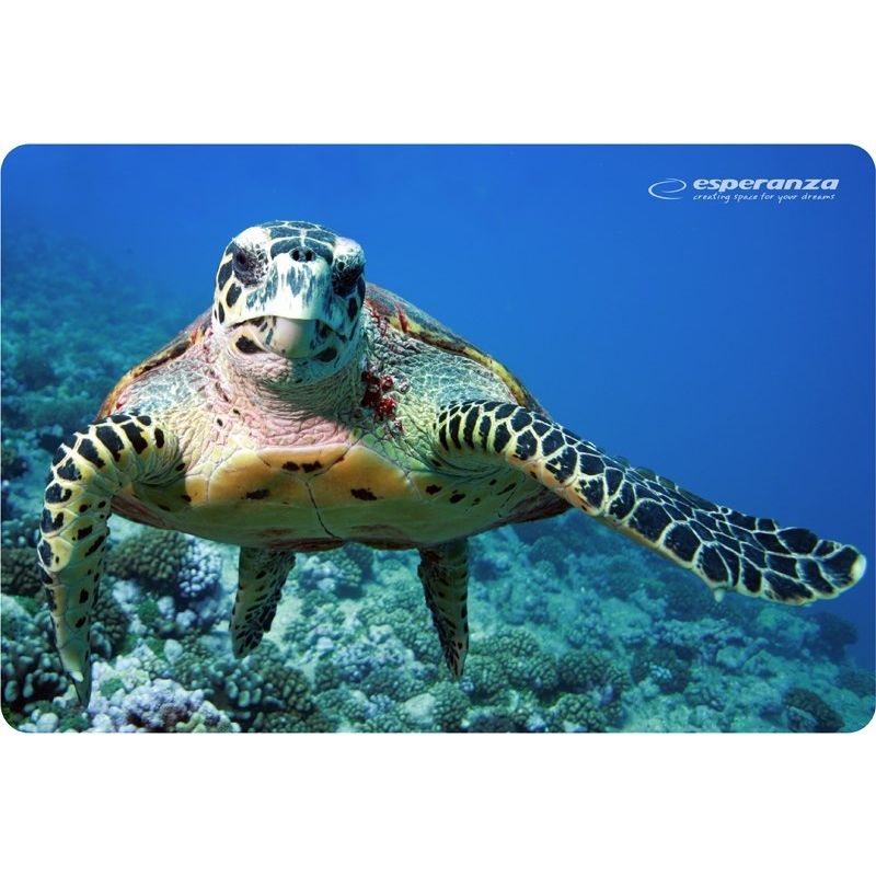 Esperanza Photo Mix Mouse Pad EA133 In preparation Your Sports Performance