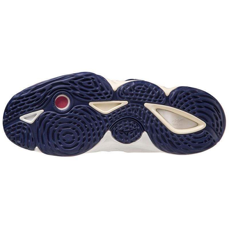 Mizuno Wave Momentum 3 MID M V1GA231743 volleyball shoes Footwear/Volleyball/Men Mizuno