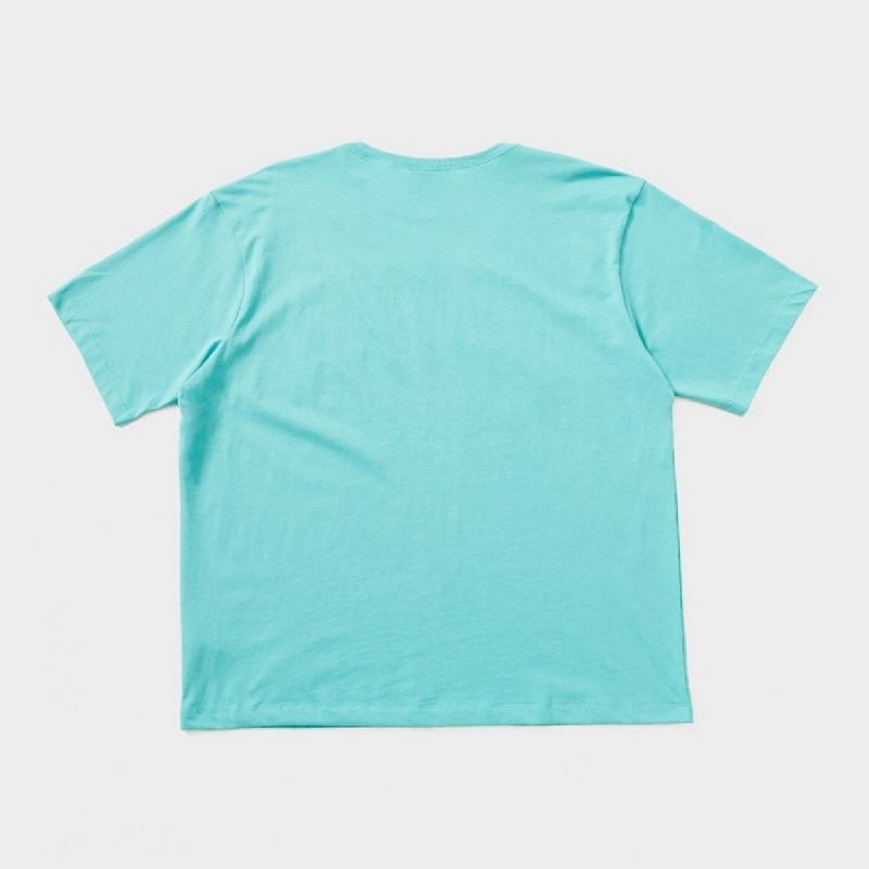 Men's Air Jordan Brooklyn Arch Logo T-shirt Washed Teal - IB7347-392 AIR Jordan