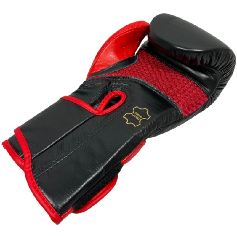 RBT-PRO-TRAIN Boxing Gloves 12 oz MASTERS FIGHT EQUIPMENT