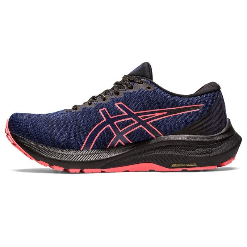 Asics GT 2000 11 GTX W 1012B304003 shoes Footwear/Running/Women Asics