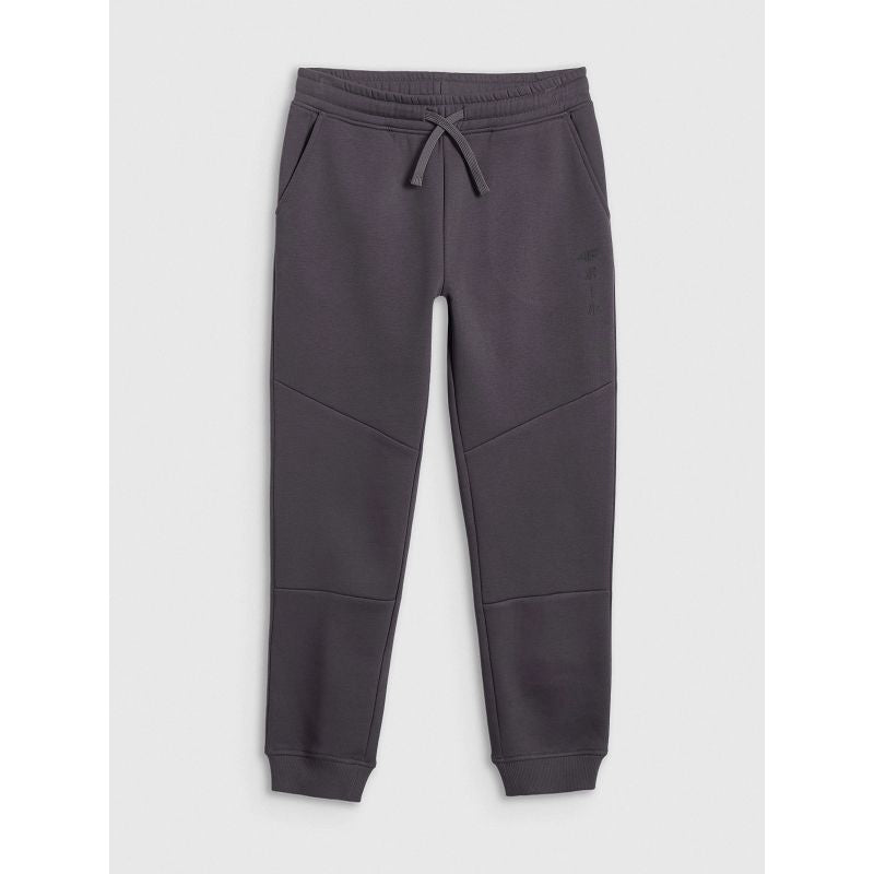 Boys' jogger sweatpants 4F 4FJRAW25TTROM1663-22S *Kategoria tymczasowa Your Sports Performance