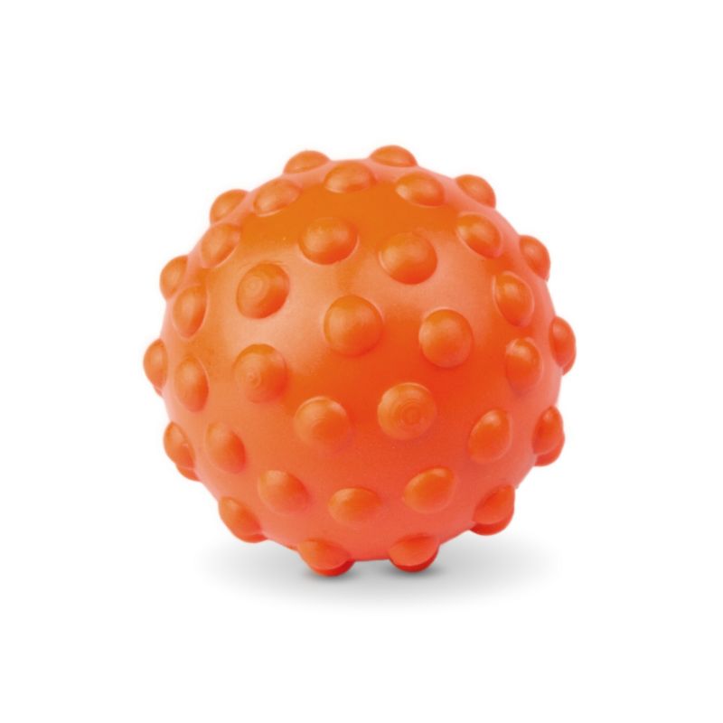 Massage balls 59578 Accessories/Training equipment Your Sports Performance