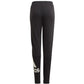 Pants adidas BL FT O PT Jr GN4064 Clothing/Training Adidas