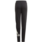 Pants adidas BL FT O PT Jr GN4064 Clothing/Training Adidas