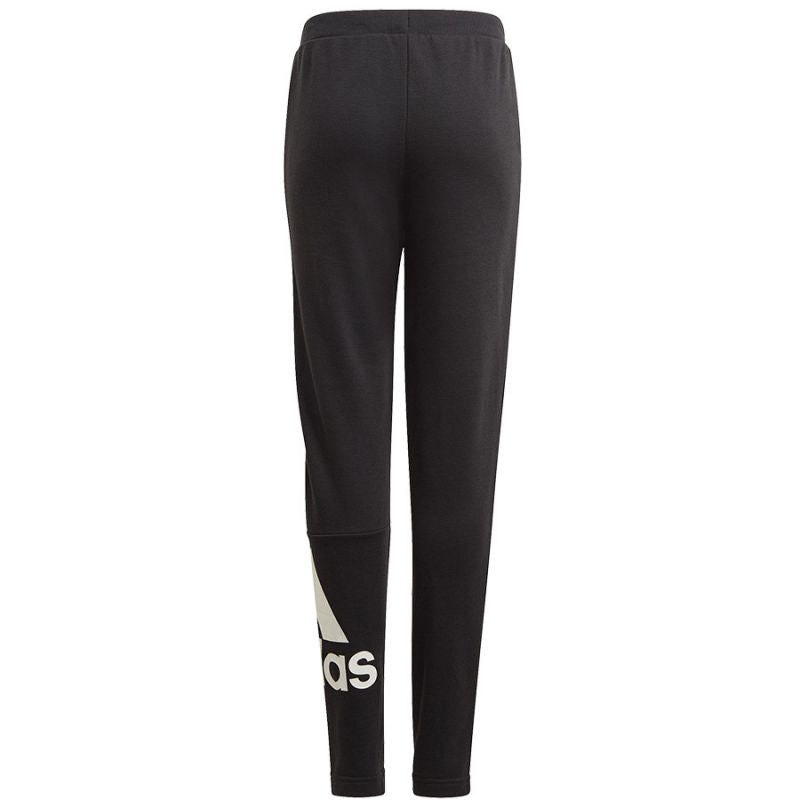 Pants adidas BL FT O PT Jr GN4064 Clothing/Training Adidas