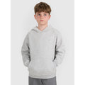 Boy's sweatshirt with hood, open, 4F 4FJWMM00TSWSM1860-25M 4f