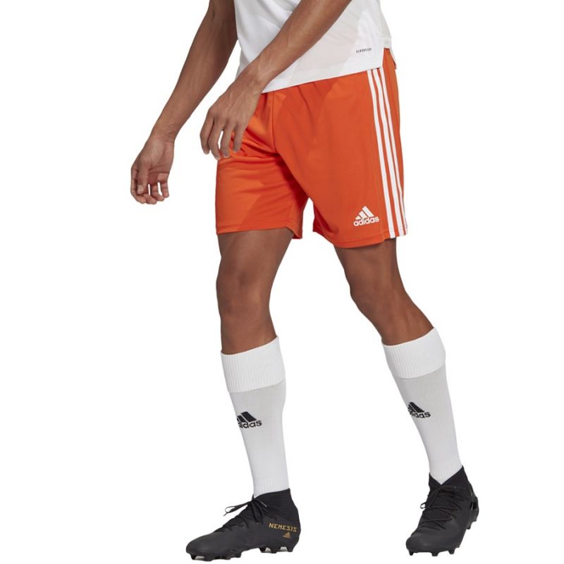 Adidas Squadra 21 Short M GN8084 Clothing/Football Adidas