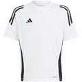 Adidas Tiro 24 Jersey Jr IS1033 Clothing/Football Adidas