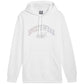 Puma Ess+ Logo LAB Gradient Hoodie FL M 681775 02 Clothing/Lifestyle Puma