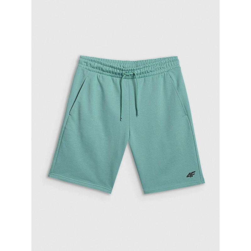 Men's sweatpants 4F 4FRSS26TSHOM0970-47S 4f
