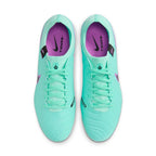 Nike Tiempo Legend 10 Pro FG M DV4333-300 football boots Footwear/Football/FG/SR Nike