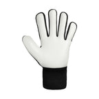 Reusch Attrakt Starter Solid 5570514 7700 Goalkeeper Gloves Accessories/Gloves Your Sports Performance