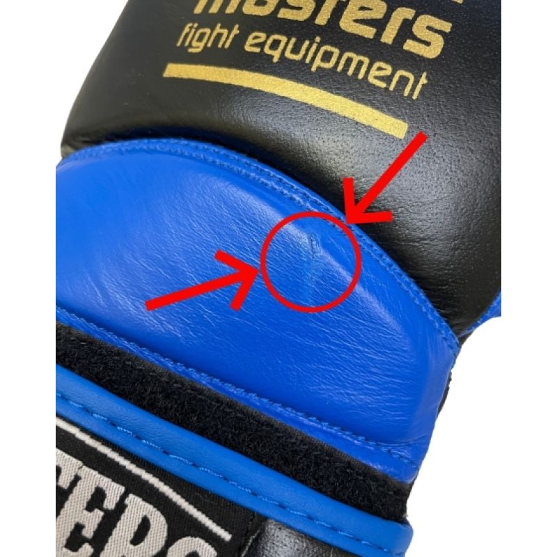 RBT-PRO-TRAIN Boxing Gloves 12 oz MASTERS FIGHT EQUIPMENT
