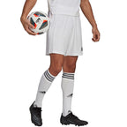 Adidas Squadra 21 Short M GN5774 Clothing/Football Adidas