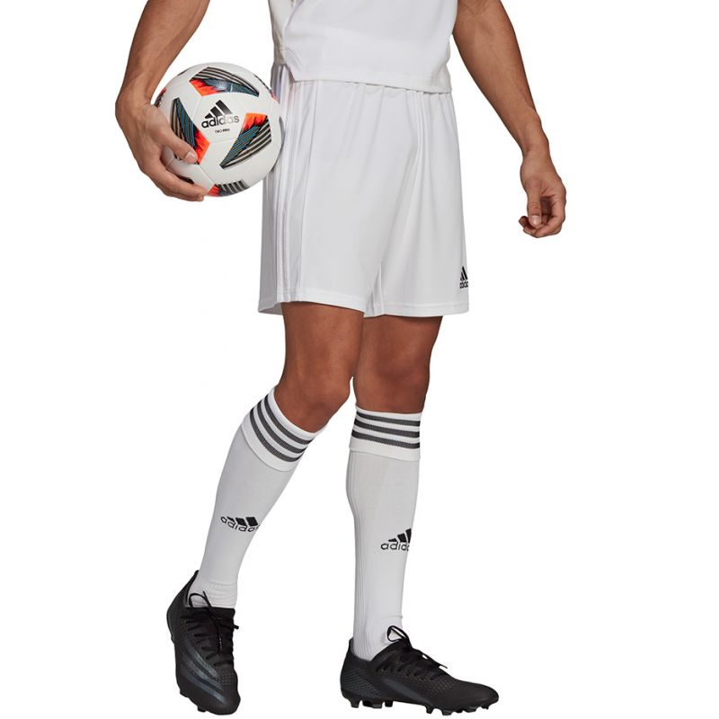 Adidas Squadra 21 Short M GN5774 Clothing/Football Adidas