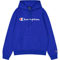 Champion Hooded M 220253 BS008 sweatshirt Clothing/Lifestyle/Champion Your Sports Performance