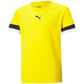 T-shirt Puma teamRise Jersey Jr. 704938 07 Clothing/Training Puma