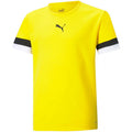 T-shirt Puma teamRise Jersey Jr. 704938 07 Clothing/Training Puma