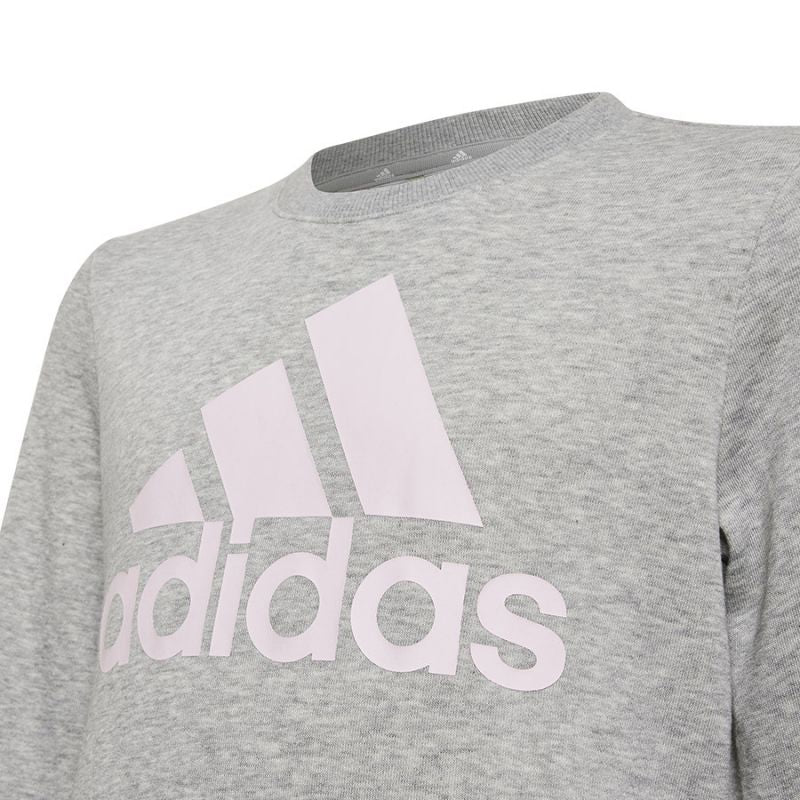 Sweatshirt adidas Big Logo Swt Jr HM8706 Clothing/Lifestyle Adidas