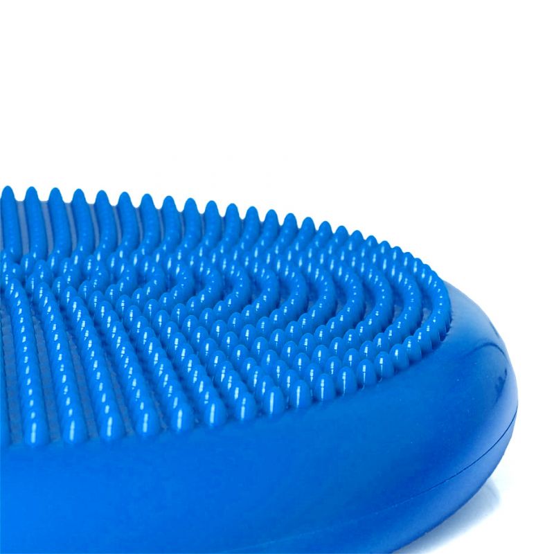 Inflatable disk PROFIT DK 2111 Accessories/Training equipment Your Sports Performance