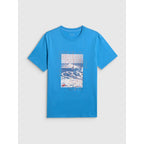 Men's regular printed T-shirt 4F 4F 4FWSS26TTSHM2783-33S 4f