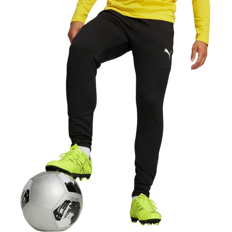 Puma Team Goal Slim Training Pants M 659037 03 Clothing/Training Puma