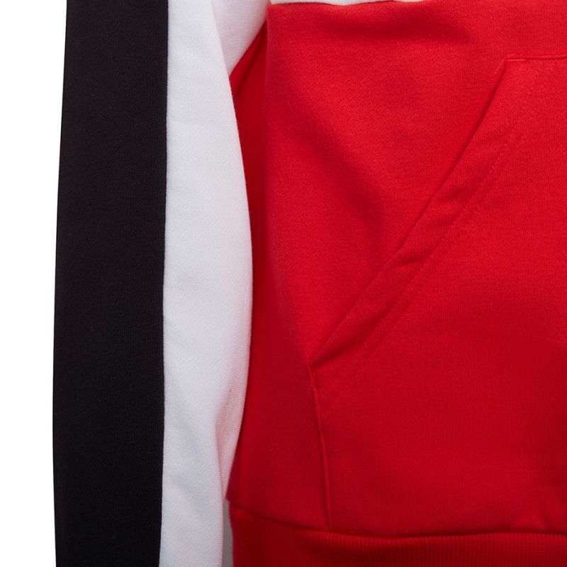 Adidas Colorblock Fleece Hoodie Jr HC5657 sweatshirt Clothing/Training Adidas
