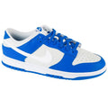 Nike Dunk Low M FN3416-001 shoes Footwear/Lifestyle/Nike Nike