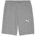 Puma teamGOAL Casuals M shorts 658608 33 Clothing/Training Puma