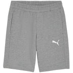 Puma teamGOAL Casuals M shorts 658608 33 Clothing/Training Puma