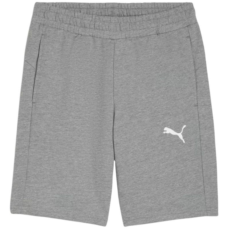 Puma teamGOAL Casuals M shorts 658608 33 Clothing/Training Puma