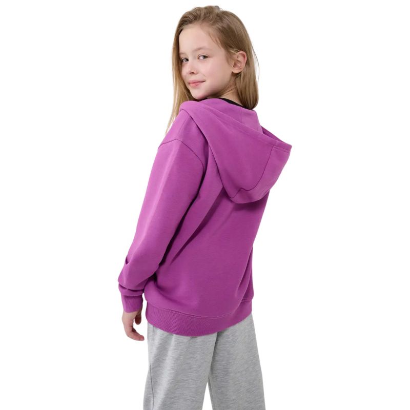 Sweatshirt 4F F1853 Jr 4FJWSS25TSWSF1853 50S Clothing/Lifestyle/4F 4F