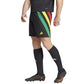 Shorts adidas Fortore 23 M IK5736 Clothing/Football Adidas