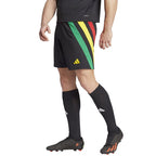 Shorts adidas Fortore 23 M IK5736 Clothing/Football Adidas