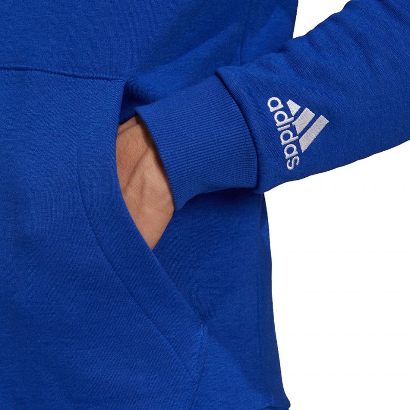 Adidas Essentials Hoodie M H12165 Clothing/Lifestyle Adidas